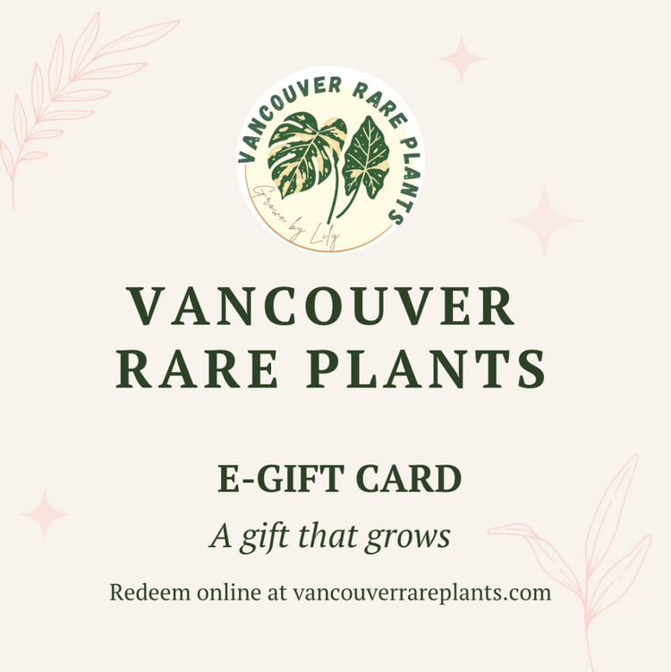 Vancouver Rare Plants Gift Cards