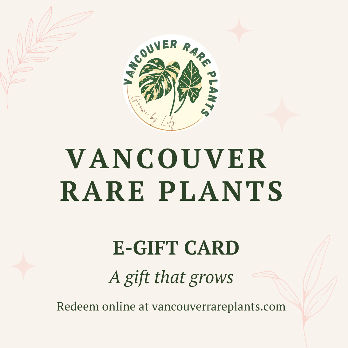 Digital Gift Card — Instant Email Delivery